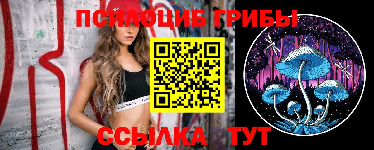 Псилоцибиновые грибы мухоморы Киселёвск