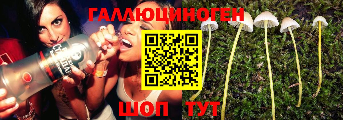 Галлюциногенные грибы Psilocybe  Вход с VPN  Киселёвск 