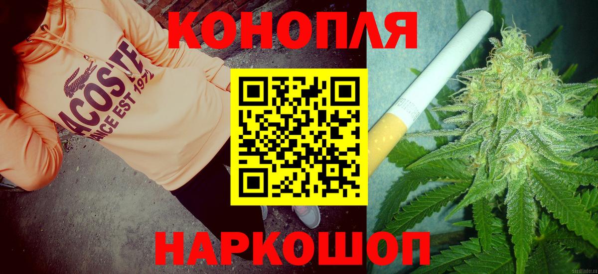 Шишки марихуана MAZAR Киселёвск